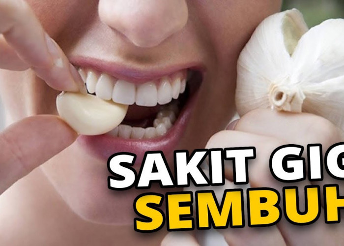 Tips meredakan sakit gigi dengan bahan alami di rumah